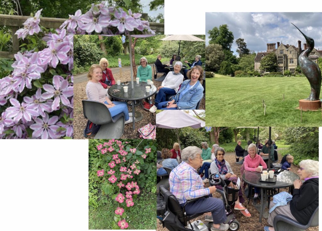 collage of garden views